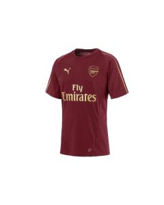 męskie Puma Arsenal FC Training Tee 753265-03 001