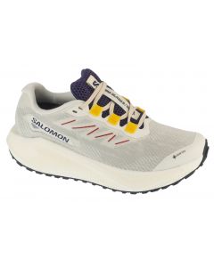 Salomon Aero Blaze 3 Grvl W L47974100 damskie buty do biegania, Szare 001