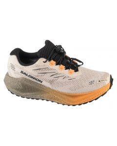 Salomon Aero Blaze 4 Grvl GTX W L45404000 damskie buty do biegania, Szare 001