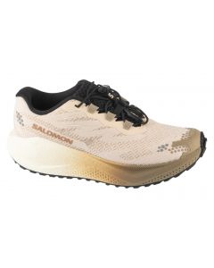 Salomon Aero Blaze 4 Grvl W L45401900 damskie buty do biegania, Beżowe 001