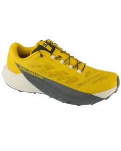 Salomon Pulsar L47973200 męskie buty do biegania, Żółte 001