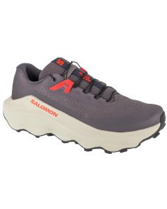 Salomon Ultra Glide 3  L47742100 męskie buty do biegania, Szare 001