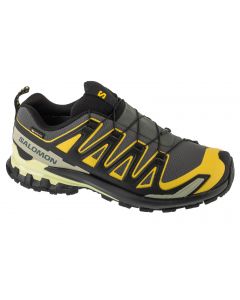 Salomon XA Pro 3D v9 GTX L47980400 męskie buty do biegania, Szare 001