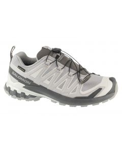 Salomon XA Pro 3D v9 GTX W L45412000 damskie buty do biegania, Szare 001