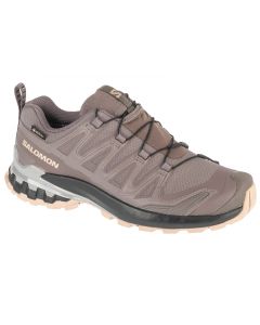 Salomon XA Pro 3D v9 GTX W L47744500 damskie buty do biegania, Szare 001
