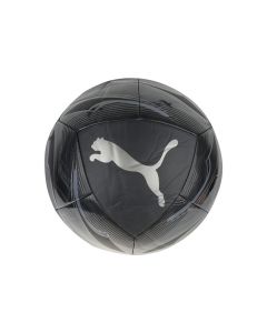 unisex Puma Icon Ball 083285-03 001